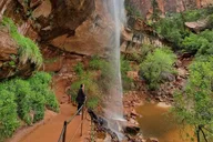 Zion National Park Private Full Day Tour thumbnail 4