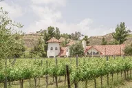 Temecula Wine Tour from Escondido thumbnail 5