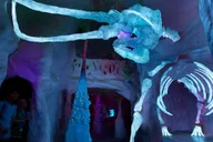 Santa Fe Meow Wolf House of Eternal Return Ticket thumbnail 5