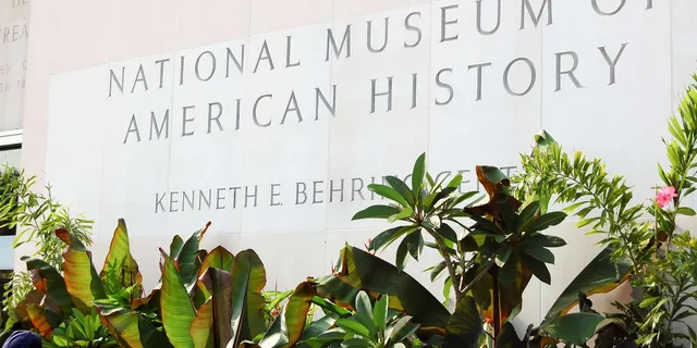 Washington DC Smithsonian Museums Tour - Image 4