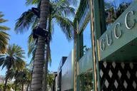 Los Angeles City Tour with Hollywood & Beaches thumbnail 6