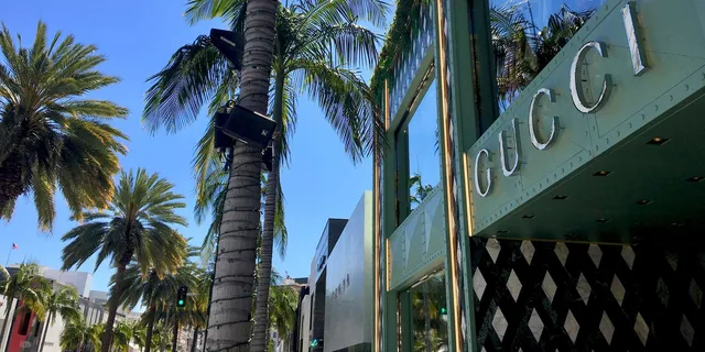 Los Angeles City Tour with Hollywood & Beaches - Image 6
