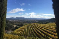 Napa Valley Wine Country Tour in Large SUV thumbnail 3