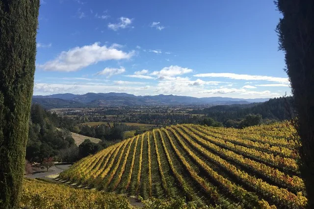 Napa Valley Wine Country Tour in Large SUV - Image 3