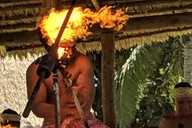 Kauai Pearl Harbor, Dole Plantation, and Polynesian Center Tour thumbnail 2