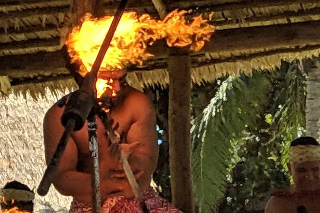 Kauai Pearl Harbor, Dole Plantation, and Polynesian Center Tour - Image 2