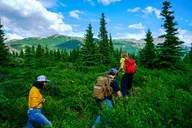 Denali Off-Trail Hiking Adventure thumbnail 3