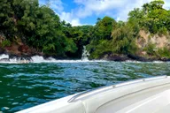 Hilo Hamakua Coast Waterfall Cruise 2 hr thumbnail 4