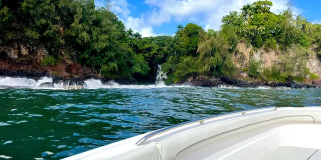 Hilo Hamakua Coast Waterfall Cruise 2 hr - Image 4