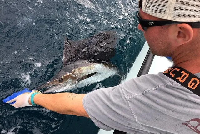 Fort Lauderdale Fishing Charter - Image 2