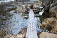 Rapid City Mt. Rushmore & Flume Trail Tour thumbnail 5