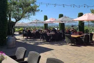San Francisco Wine Tour with 2 Tastings Half-Day thumbnail 3