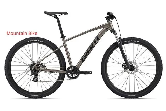 Los Angeles Bike Rental: Pedal or Electric Options - Image 5