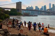 Brooklyn Historic Heights & DUMBO Tour 2 hr thumbnail 1