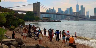 Brooklyn Historic Heights & DUMBO Tour 2 hr