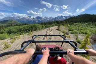 Yukon Sled Dog Tour with Mushers