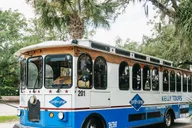Savannah Tybee Island Dolphin Tour thumbnail 6