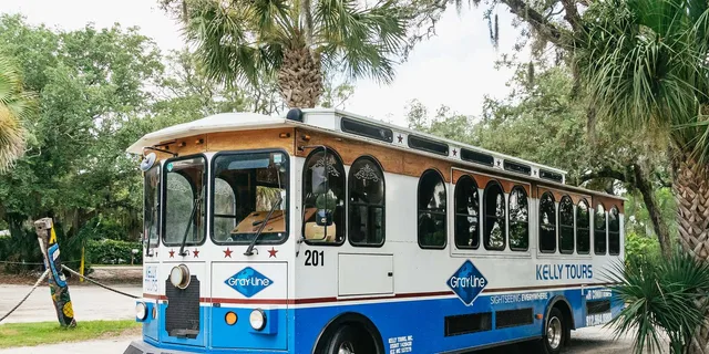 Savannah Tybee Island Dolphin Tour - Image 6