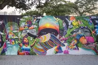 Miami Art Tour Vizcaya Wynwood Walls thumbnail 3