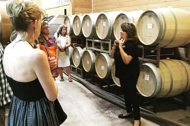 San Antonio Wine Tour to Fredericksburg - Image 3