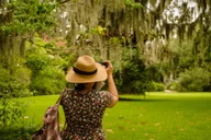 Charleston Plantation and City Bus Tour thumbnail 3