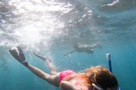 Kauai Napali Coast Sail and Snorkel Tour thumbnail 3