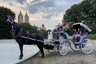 NYC Central Park Horse Carriage Ride thumbnail 4