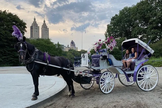 NYC Central Park Horse Carriage Ride - Image 4