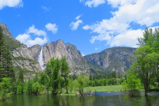 Yosemite National Park Private Tour with Hotel - Image 5