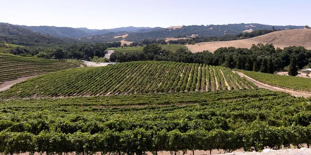 Paso Robles 3-Winery Tour with Lunch - Image 4