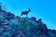 Las Vegas Camping and Kayaking Adventure thumbnail 3