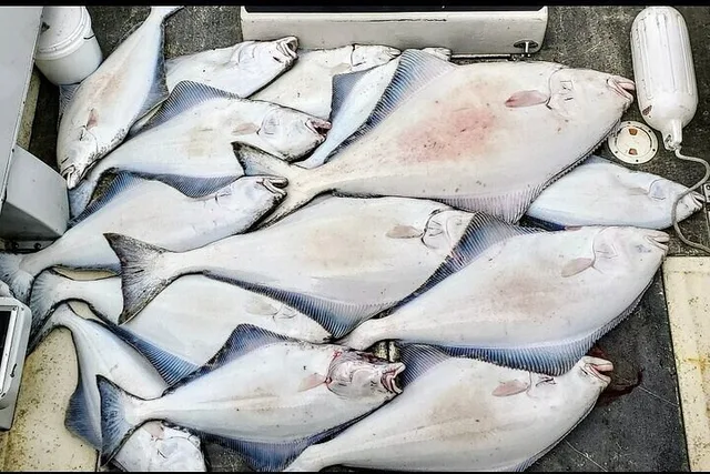 Hoonah Fishing Adventure in Icy Strait - Image 3