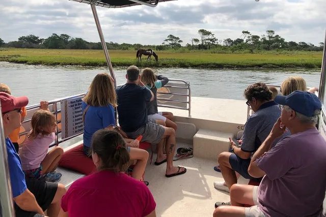 Ocean City Assateague Island Swim Cruise - Image 2