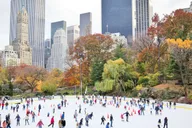 New York Central Park Pedicab Tour thumbnail 3