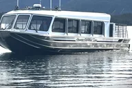 Ketchikan Bear Viewing Tour by Land and Sea thumbnail 6