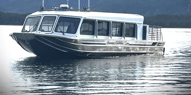 Ketchikan Bear Viewing Tour by Land and Sea - Image 6