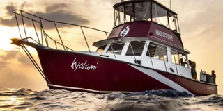 Palm Beach Intracoastal Boat Tour
