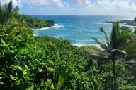Maui Road to Hana Sightseeing Tour with Lunch thumbnail 1