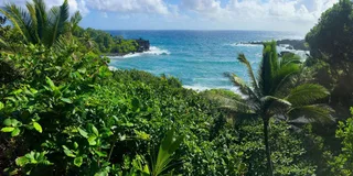Maui Road to Hana Sightseeing Tour with Lunch