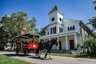 Beaufort Horse & Carriage History Tour thumbnail 5