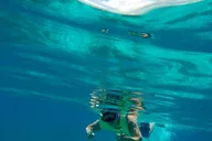 Key West Dolphin and Reef Snorkel Trip with Sunset thumbnail 6