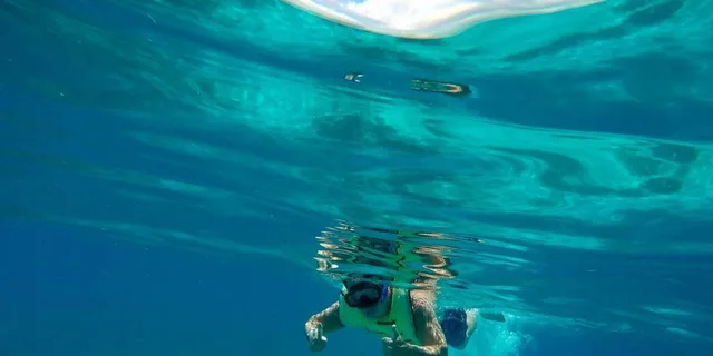Key West Dolphin and Reef Snorkel Trip with Sunset - Image 6