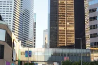 Houston City Highlights Tour thumbnail 6