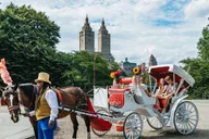 New York City Nighttime Carriage Ride Central Park and Rockefeller Center thumbnail 1