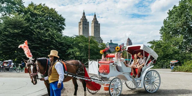 New York City Nighttime Carriage Ride Central Park and Rockefeller Center - Image 1