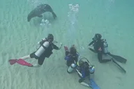 Oahu SCUBA Dive at Electric Beach thumbnail 6