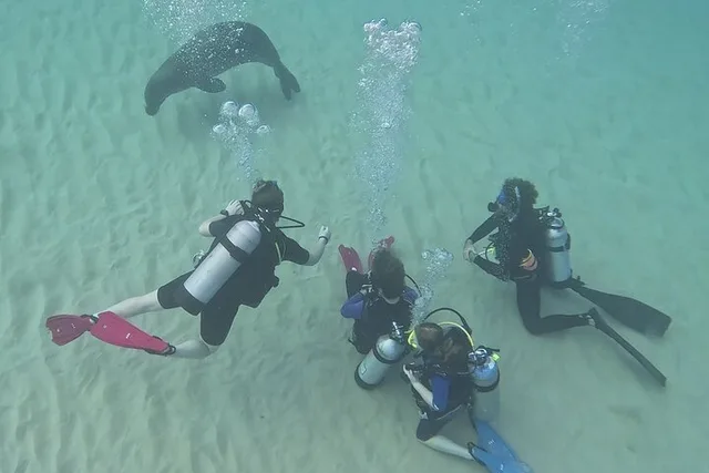 Oahu SCUBA Dive at Electric Beach - Image 6
