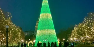 Denver Holiday Lights and History Walking Tour