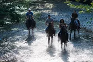 Sedona Horseback Tour 1 hr thumbnail 3