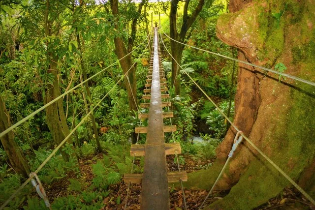 Big Island Zipline Adventure with Waterfall - Image 6